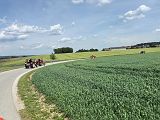 Rossfeld (260)